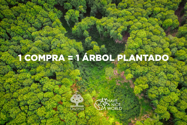 Gioseppo quiere llegar a los 50.000 árboles plantados en la selva amazónica este año