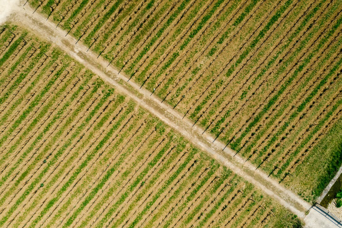 El sector textil también tendrá que reducir su impacto en el medioambiente: apuesta por la moda regenerativa para frenar su contaminación