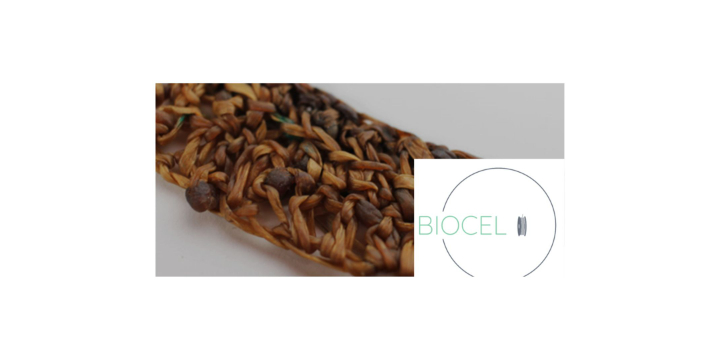 BIOCEL: Proyecto de investigación industrial de un sistema de producción, monitorización y aplicación de filamentos textiles con base biológica