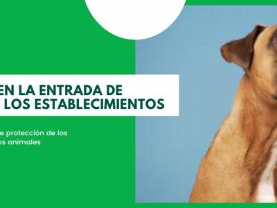 Ante las dudas, la Federación Nacional de Asociaciones de Trabajadores Autónomos (ATA) responde: ¿pueden o no entrar las mascotas de mis clientes en mi establecimiento?