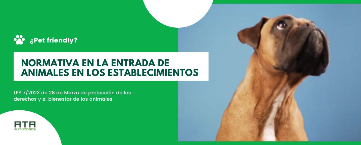 Ante las dudas, la Federación Nacional de Asociaciones de Trabajadores Autónomos (ATA) responde: ¿pueden o no entrar las mascotas de mis clientes en mi establecimiento?