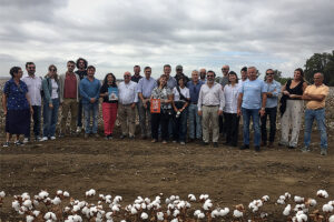 Prestigiosos representantes de los sectores algodonero y de la moda visitan los campos de algodón andaluces de la mano de EUCOTTON