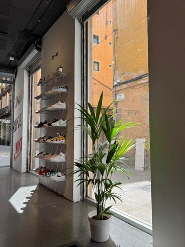 La disponibilidad de locales en El Born cae al 8% y confirma la recuperación del retail en el centro histórico de Barcelona