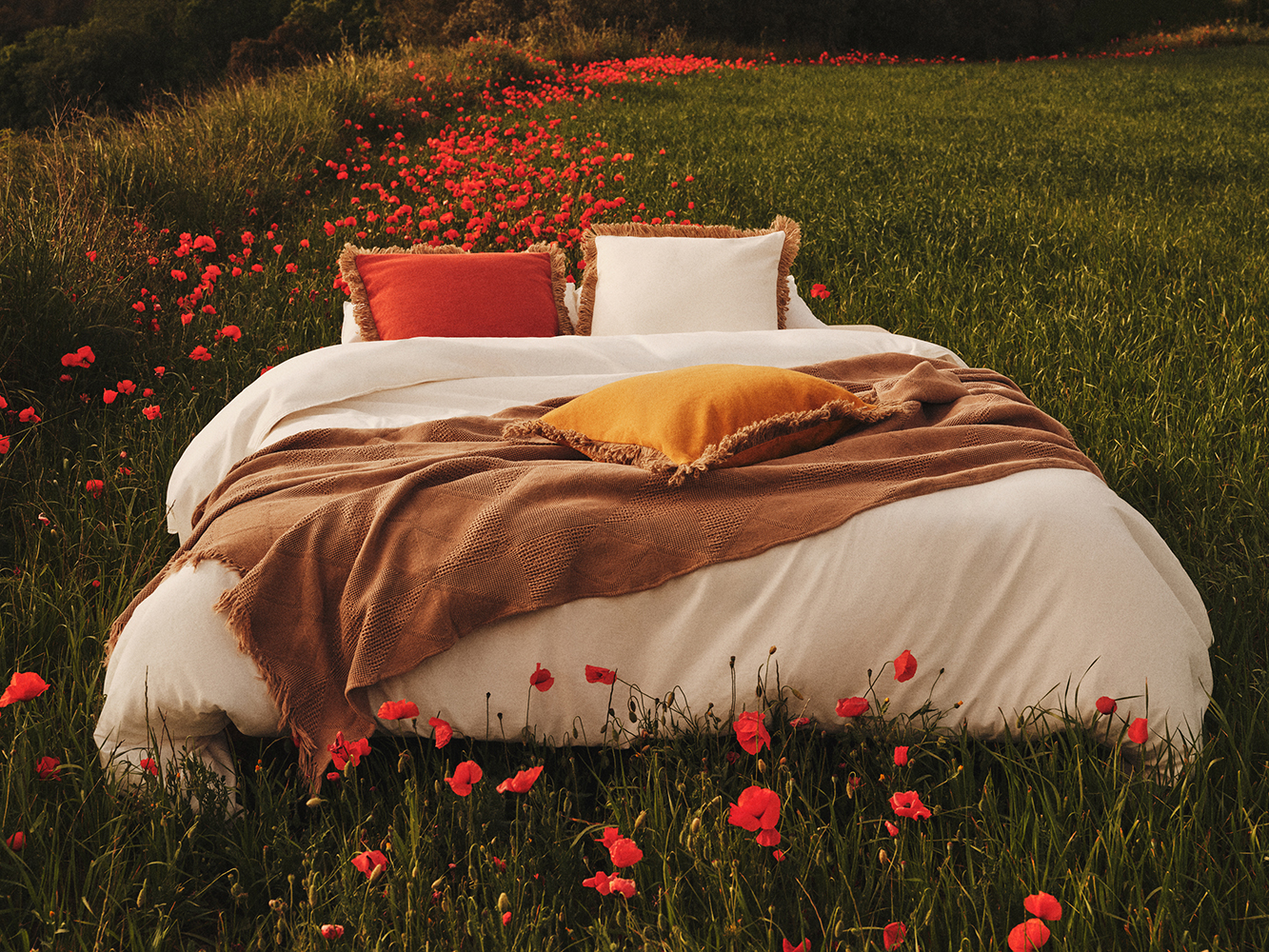 LEFTIES HOME: eleva el estilo de tu hogar