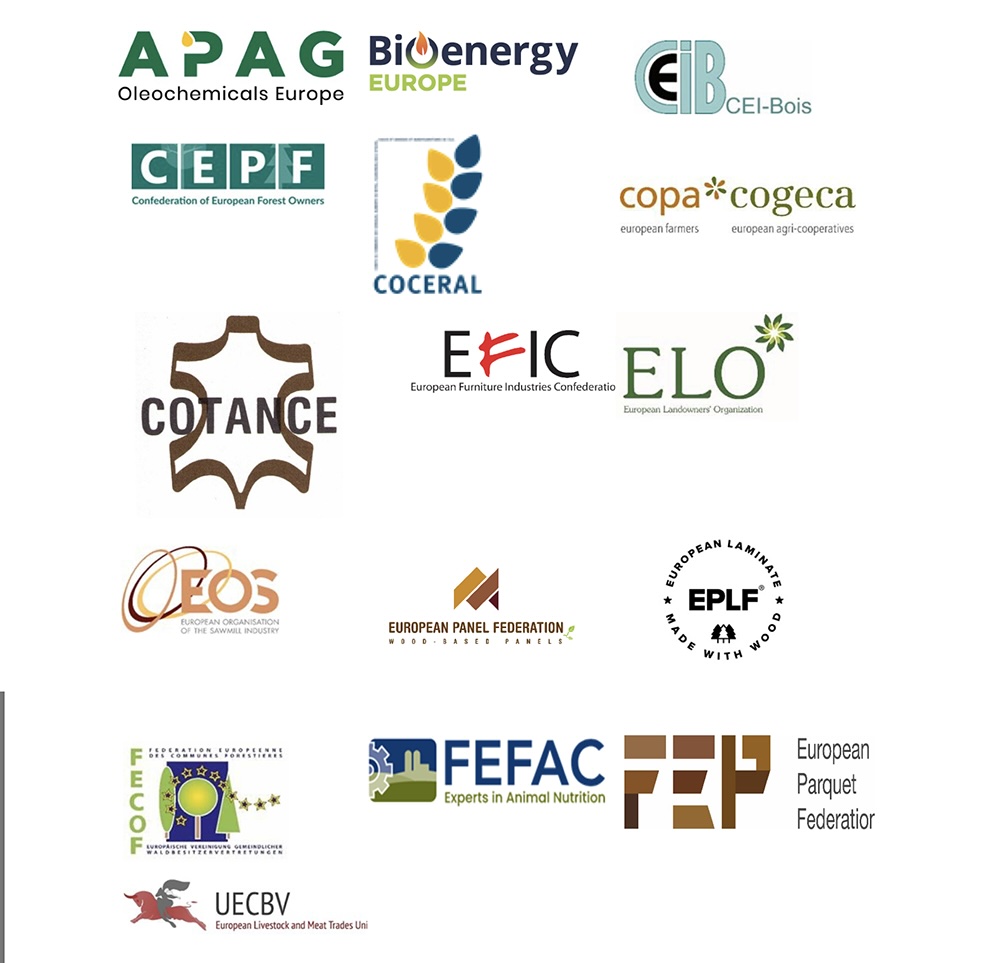 La Regulación sobre Deforestación de la UE bajo presión: asociaciones piden una simplificación urgente