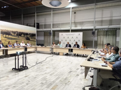 Andalucía prevé una producción de 131.442 toneladas de algodón en la próxima campaña