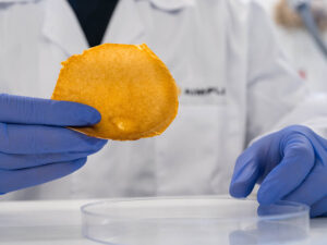 Ivace+i financia con 186.000 euros el desarrollo de tecnologías para transformar residuos orgánicos en piel vegana para el sector textil y en microcápsulas cosméticas