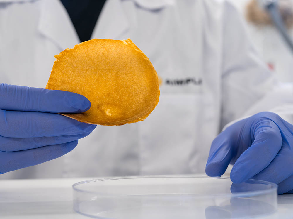 Ivace+i financia con 186.000 euros el desarrollo de tecnologías para transformar residuos orgánicos en piel vegana para el sector textil y en microcápsulas cosméticas