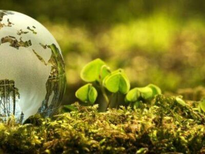 El Observatorio del Textil y la Moda colabora en la hoja de ruta financiera sostenible del sector