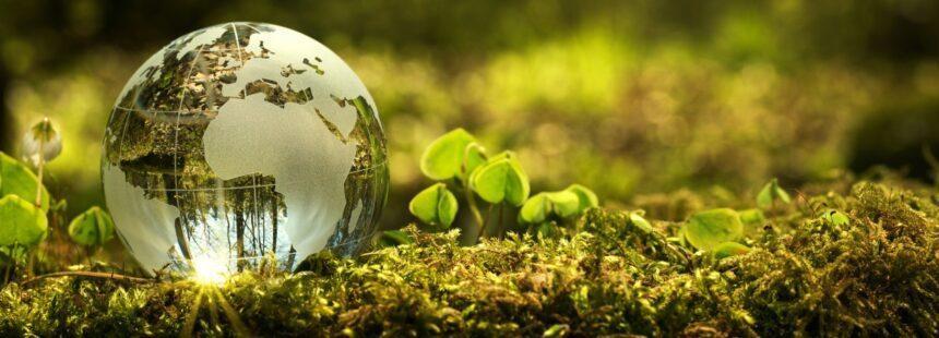 El Observatorio del Textil y la Moda colabora en la hoja de ruta financiera sostenible del sector