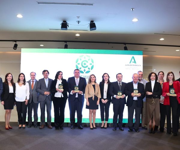 La Junta de Andalucía apoyará al comercio con ayudas para adaptarse al plan de ahorro energético