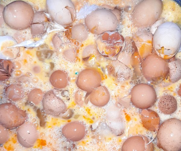 La Generalitat Valenciana apoya la transformación de los huevos rotos en materias primas para las industrias del calzado y la cerámica