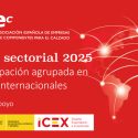 La Asociación Española de Empresas de Componentes para el Calzado (AEC) lanza su Plan Sectorial 2025 con el apoyo del ICEX