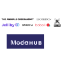 Modacc y Asecom promueven la jornada Potencia tu e-commerce con Moda Hub