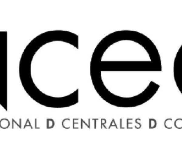 Asociación Nacional de Centrales de Compra y Servicios (ANCECO)