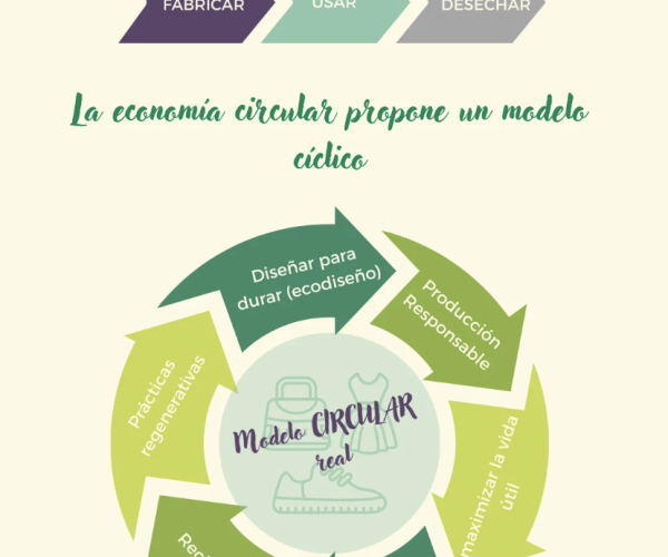 El SCRAP del Calzado y Textil GERESCAL publica “6 claves para aplicar la circularidad”: la guía esencial para transformar la industria hacia la sostenibilidad