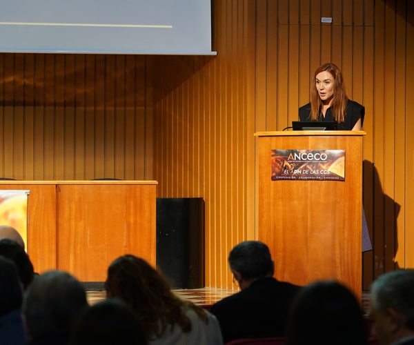 Éxito de convocatoria en el XIV Congreso Nacional de Centrales de Compra organizado por Anceco en Barcelona