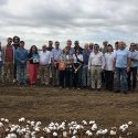 Prestigiosos representantes de los sectores algodonero y de la moda visitan los campos de algodón andaluces de la mano de EUCOTTON