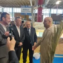 El proyecto Palmielx prevé recuperar 15 toneladas de poda de palmera en 2023 y reconvertirlo en material para calzado y textil