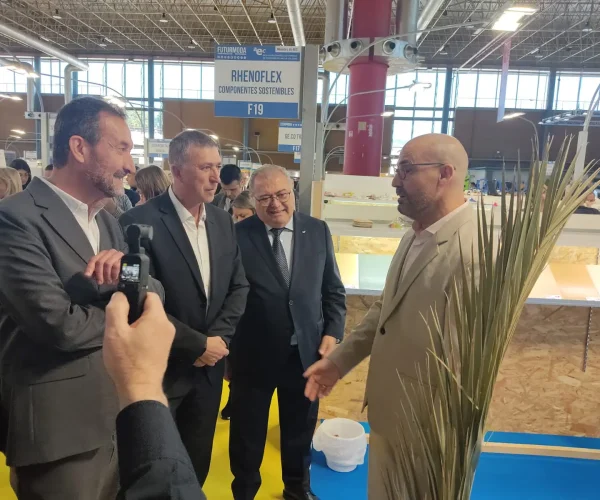 El proyecto Palmielx prevé recuperar 15 toneladas de poda de palmera en 2023 y reconvertirlo en material para calzado y textil