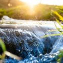 La patronal europea COTANCE pone de manifiesto la preocupación por el agua por parte de los curtidores