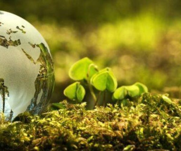 El Observatorio del Textil y la Moda colabora en la hoja de ruta financiera sostenible del sector