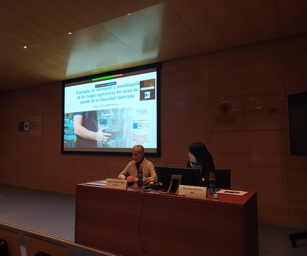 El IBV y Avecal celebran las III ‘Jornadas de Sensibilización de riesgos ergonómicos en el sector del calzado de la Comunitat Valenciana’