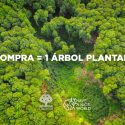 Gioseppo quiere llegar a los 50.000 árboles plantados en la selva amazónica este año