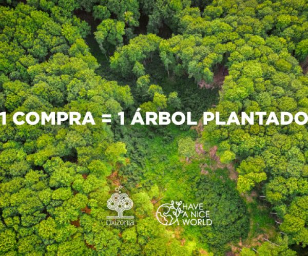 Gioseppo quiere llegar a los 50.000 árboles plantados en la selva amazónica este año