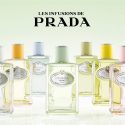 Les Infusions de Prada