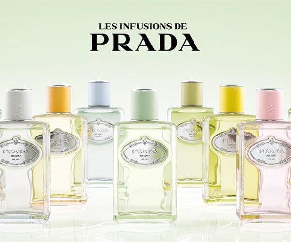 Les Infusions de Prada