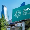 LA Confederación de Asociaciones Nacionales de Curtidores de la Comunidad Europea (COTANCE) lanza su manifiesto con motivo de la COP29: 'Compre mejor, compre menos, compre cuero'