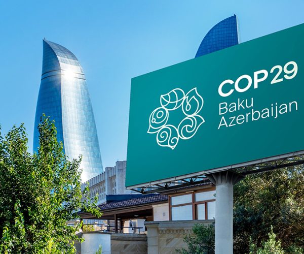 LA Confederación de Asociaciones Nacionales de Curtidores de la Comunidad Europea (COTANCE) lanza su manifiesto con motivo de la COP29: 'Compre mejor, compre menos, compre cuero'